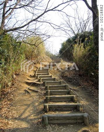 山道 10218882