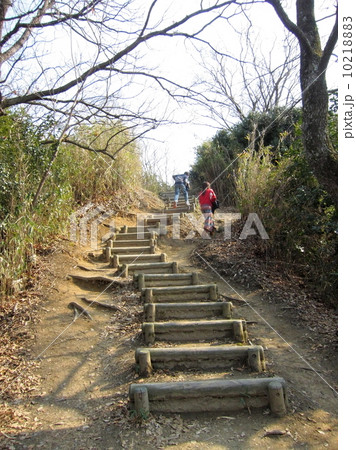 山道 山道 10218883