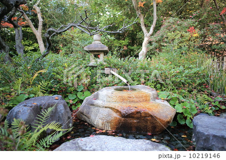 もみじ散る蹲踞 もみじ散る蹲踞 10219146