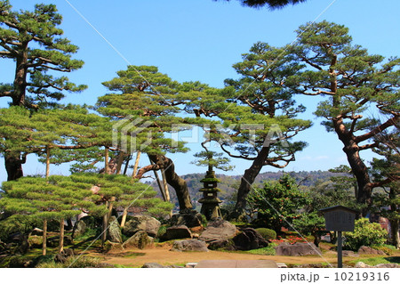 七福神山 10219316