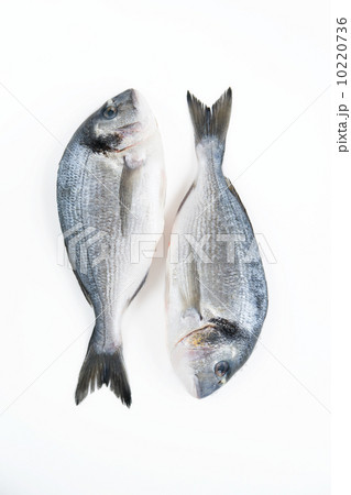 Dorado 10220736