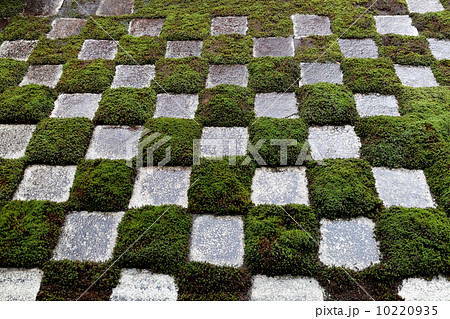東福寺の北庭 東福寺の北庭 10220935
