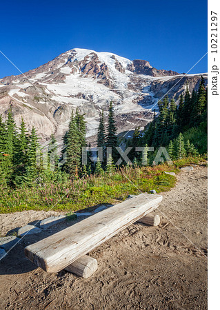 Bench and Mount Rainier 10221297