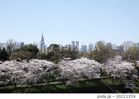 新宿遠望 10221359