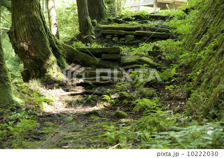 銀の道/史跡街道 銀の道/史跡街道 10222030