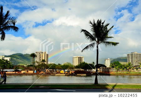 ハワイの休日 10222455