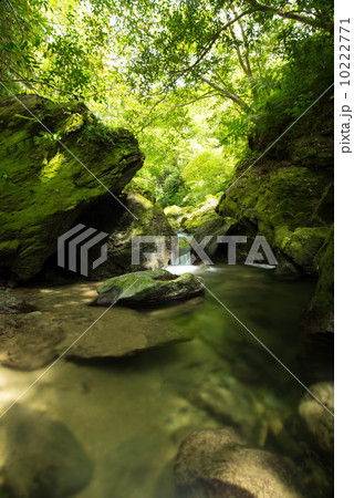 やんばるの清流（奥間川） 10222771