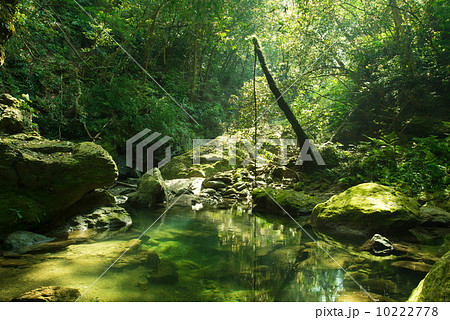 やんばるの清流（奥間川） 10222778
