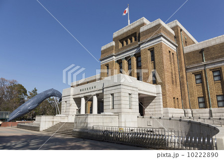 国立科学博物館 国立科学博物館 10222890