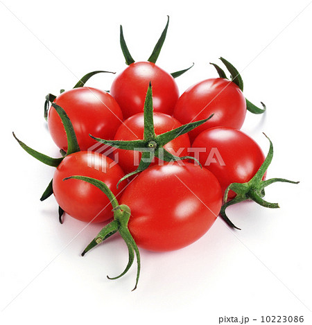 ミニトマト 10223086
