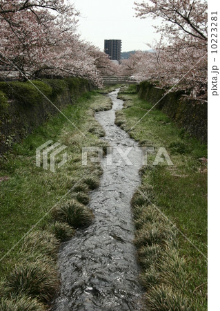 一ノ坂川2 10223281