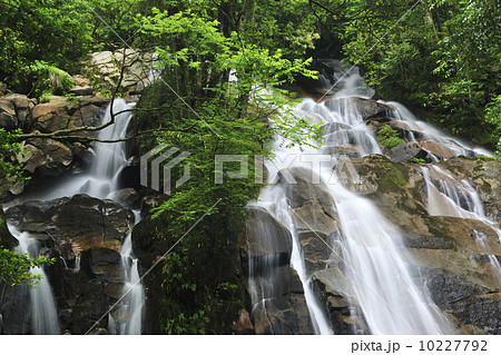 金引の滝／京都府　宮津市 10227792