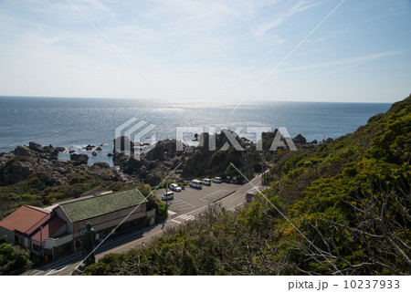 地質遺産　室戸ジオパーク　世界ジオパーク　室戸半島　1600万年前の海底の様子を見る 10237933