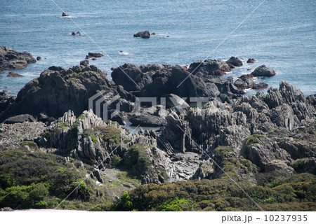 地質遺産 室戸ジオパーク 世界ジオパーク 室戸半島 1600万年前の海底の様子を見る 地質遺産 室戸ジオパーク 世界ジオパーク 室戸半島 1600万年前の海底の様子を見る 10237935