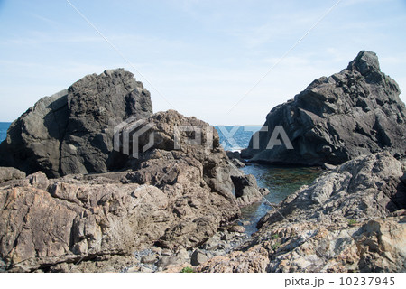 地質遺産　室戸ジオパーク　世界ジオパーク　室戸半島　1600万年前の海底の様子を見る 10237945