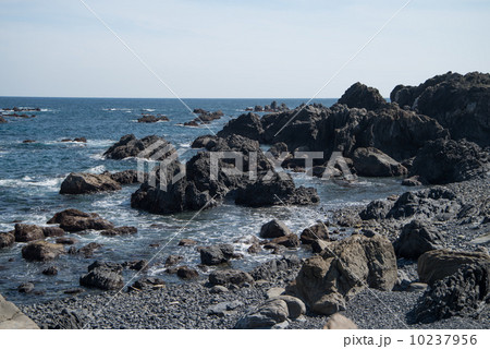 地質遺産　室戸ジオパーク　世界ジオパーク　室戸半島　1600万年前の海底の様子を見る 10237956