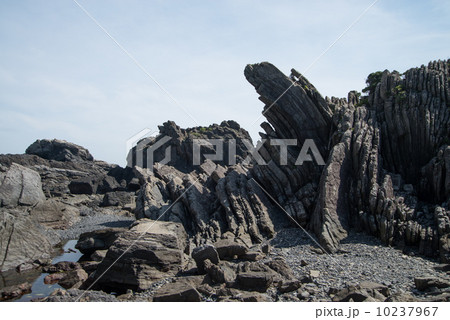 地質遺産　室戸ジオパーク　世界ジオパーク　室戸半島　1600万年前の海底の様子を見る 10237967