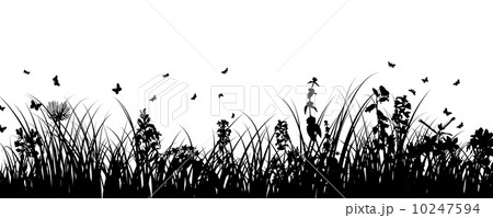 meadow background 10247594