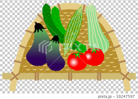 夏季蔬菜 夏季蔬菜 10247597