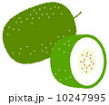冬瓜 10247995