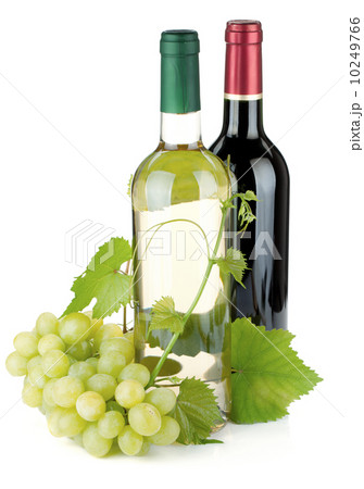 Two wine bottles and grapes 10249766