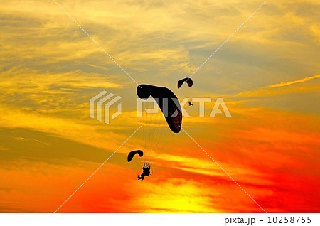 Paramotor 10258755