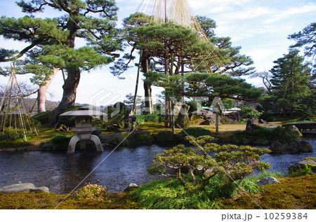 兼六園　金沢 10259384