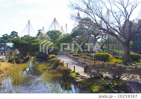 兼六園 金沢 兼六園 金沢 10259387