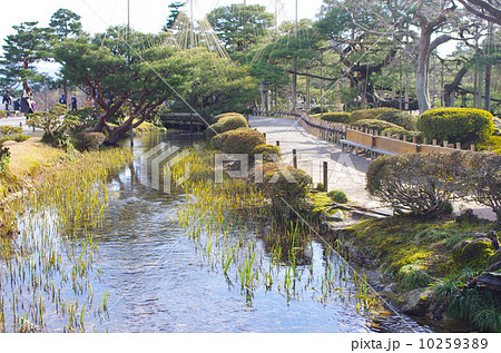兼六園 金沢 兼六園 金沢 10259389
