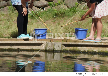 ザリガニ釣り ザリガニ釣り 10259538