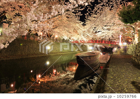 住吉燈台 夜桜 2014年 10259766