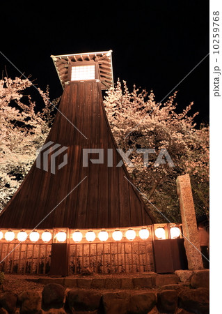 住吉燈台 夜桜 2014年 10259768