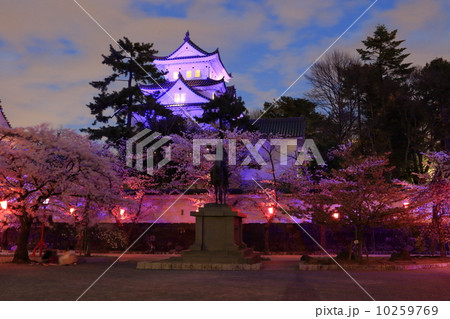 大垣城　夜桜　2014年 10259769