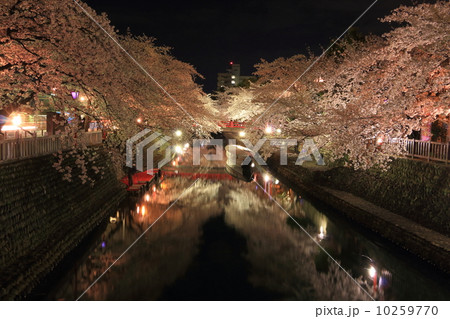 住吉燈台 夜桜 2014年 10259770
