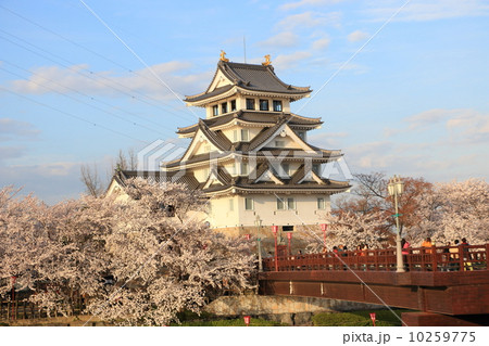 墨俣一夜城と桜 10259775