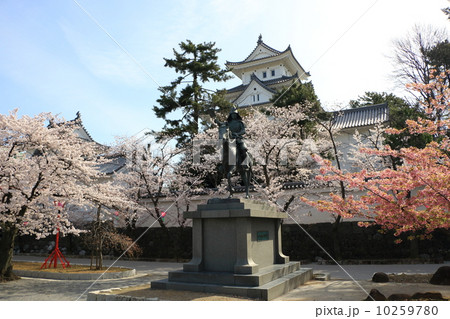 大垣城と桜 10259780