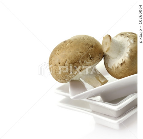 Mushrooms Mushrooms 10260064