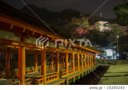宮島 厳島神社回廊と多宝塔の夜景 10260283