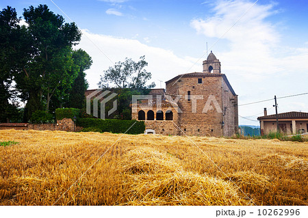 Castle in Pubol 10262996
