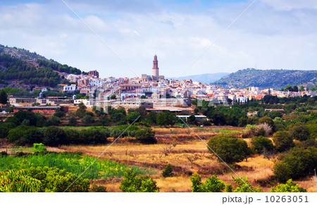 General view of Jerica 10263051