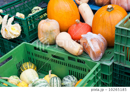 Fresh healthy  pumpkin on German farmer market 10265185