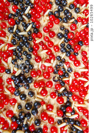 Fresh made red and black currant berries cake 10265499