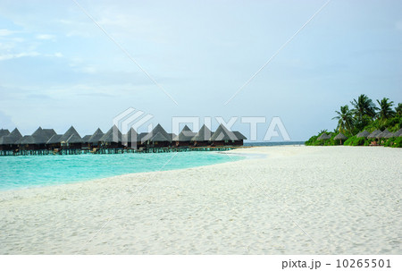 Tropical Maldivian island in Indian ocean 10265501