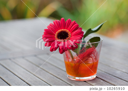 Red gerbera in a vase Red gerbera in a vase 10265910