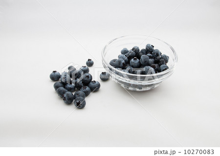 ブルーベリー ブルーベリー 10270083