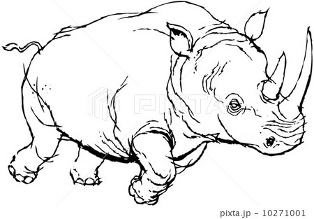 Rhino 10271001
