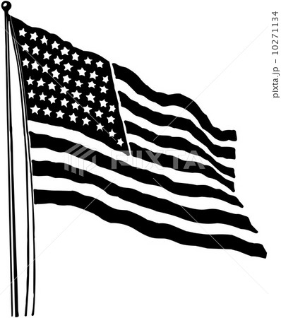 American Flag American Flag 10271134