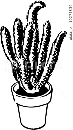 Plant 1 10271356