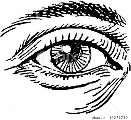 Human Eye Human Eye 10271750