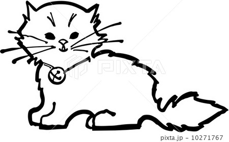 Cute Kitten 10271767